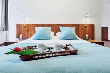 Фото номера Люкс Отель Hotel Modrzewiowy Dwór г. Гливице 7