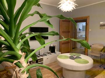 Фото номера Апартаменты - 1-й этаж Апартаменты Apartament Joanna г. Гливице 11